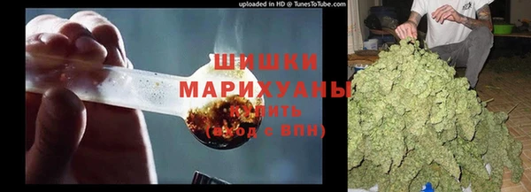 дмт Ельня
