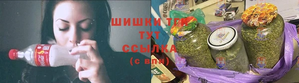 стаф Заволжск