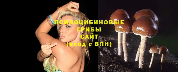дурь Заводоуковск