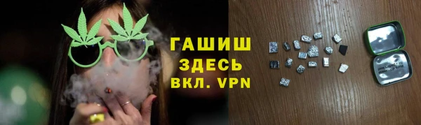 дмт Ельня
