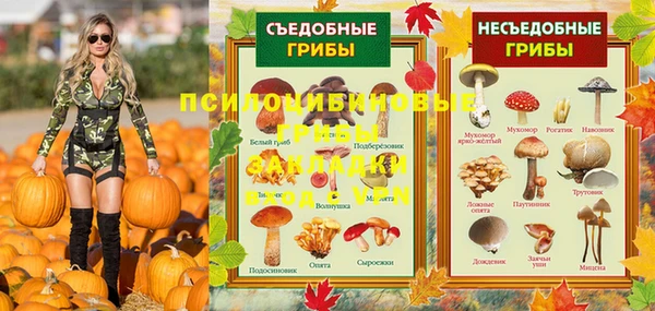 дурь Заводоуковск