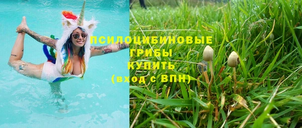 стаф Заволжск