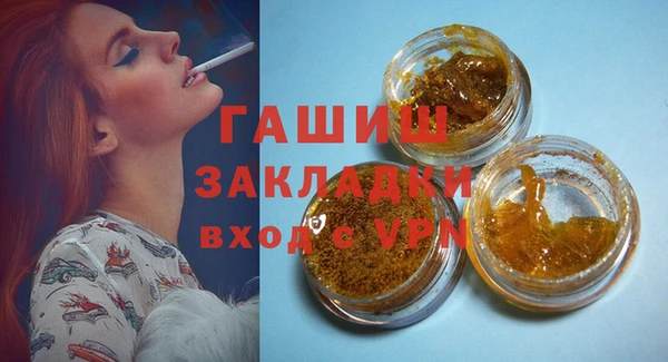 дмт Ельня