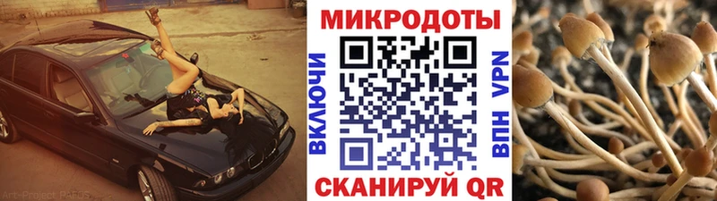 Псилоцибиновые грибы мицелий  Ирбит 